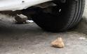Πάτρα: Νεαροί εκτόξευαν πέτρες σε αυτοκίνητα στη Nέα Εθνική Οδό