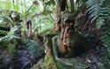 Αυστραλία: Μυστηριώδη αγάλματα σε τροπικό δάσος...