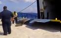 ΑΠΙΣΤΕΥΤΟ βίντεο: Αυτοκίνητα στην Αλόννησο «πετούν» για να μπουν στο πλοίο!