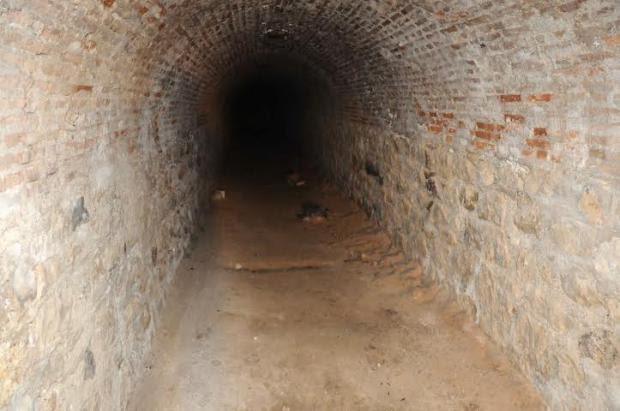 Πάτρα: Άλλαξε όψη το καταφύγιο των Υψηλών Αλωνίων - Επιχείρηση καθαρισμού σήμερα απο το Δήμο - Φωτογραφία 8