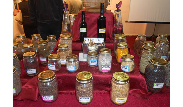 To pontos-news.gr στο 3ο Φεστιβάλ Κωνσταντινουπολιτών (βίντεο, φώτο) - Φωτογραφία 6