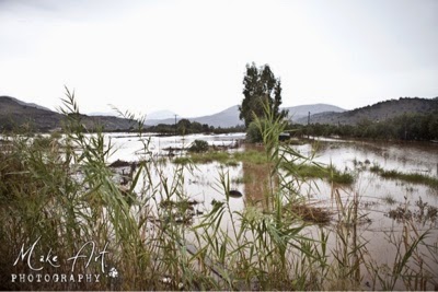 ΣΟΚΑΡΟΥΝ οι φωτογραφίες από τον Αστακό μετά τη καταιγίδα - Καταστροφικές οι εικόνες [photos] - Φωτογραφία 18