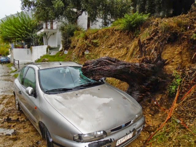 ΣΟΚΑΡΟΥΝ οι φωτογραφίες από τον Αστακό μετά τη καταιγίδα - Καταστροφικές οι εικόνες [photos] - Φωτογραφία 2