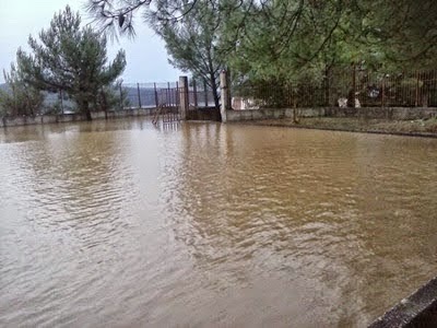 ΣΟΚΑΡΟΥΝ οι φωτογραφίες από τον Αστακό μετά τη καταιγίδα - Καταστροφικές οι εικόνες [photos] - Φωτογραφία 4