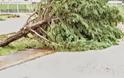 ΣΟΚΑΡΟΥΝ οι φωτογραφίες από τον Αστακό μετά τη καταιγίδα - Καταστροφικές οι εικόνες [photos] - Φωτογραφία 15