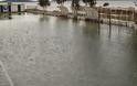 ΣΟΚΑΡΟΥΝ οι φωτογραφίες από τον Αστακό μετά τη καταιγίδα - Καταστροφικές οι εικόνες [photos] - Φωτογραφία 9