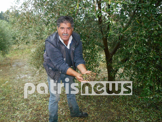 «Θυσία» στο χαλάζι και την ανεμοθύελλα...Eίδαν από τη μια στιγμή στην άλλη να χάνουν την παραγωγή τους [photos] - Φωτογραφία 2