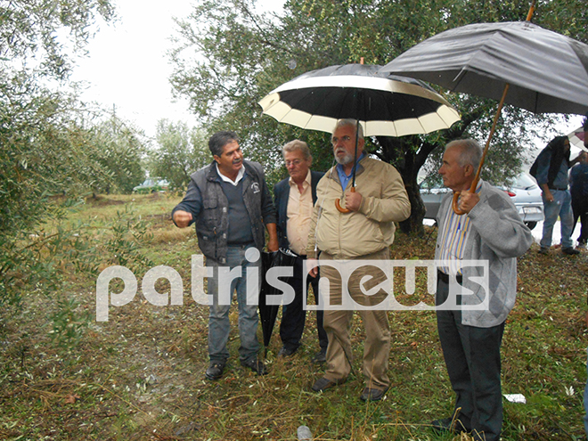 «Θυσία» στο χαλάζι και την ανεμοθύελλα...Eίδαν από τη μια στιγμή στην άλλη να χάνουν την παραγωγή τους [photos] - Φωτογραφία 3