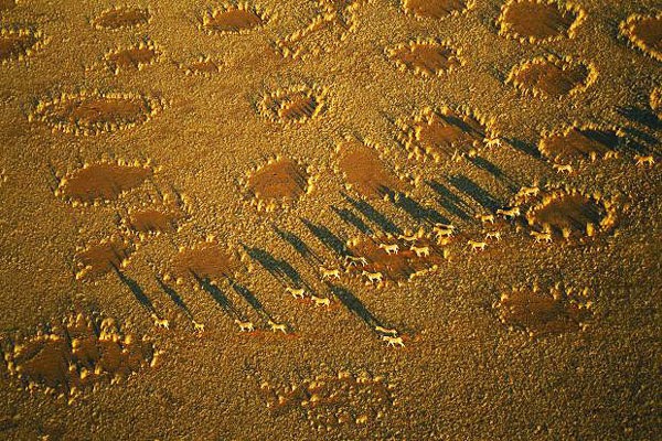 Ένα παράδοξο φαινόμενο: Οι νεραϊδόκυκλοι της Αφρικής - Φωτογραφία 5