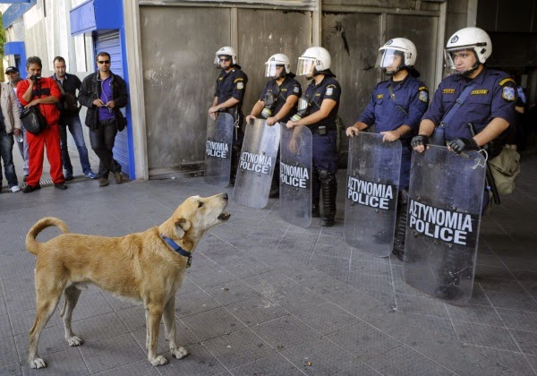 Ένα αντίο στον Λουκάνικο, που έφυγε λόγω της επιβαρυμένης υγείας του από τα δακρυγόνα των ΜΑΤ - Φωτογραφία 2