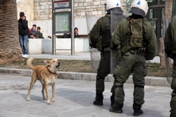 Ένα αντίο στον Λουκάνικο, που έφυγε λόγω της επιβαρυμένης υγείας του από τα δακρυγόνα των ΜΑΤ - Φωτογραφία 4