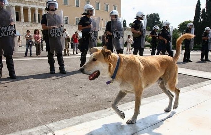 «Έσβησε» ο θρυλικός «Λουκάνικος»... [photos] - Φωτογραφία 11