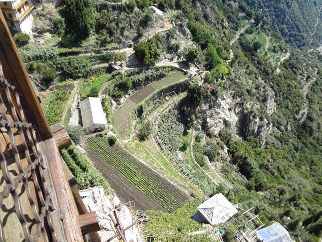 5378 - Άγιο Όρος, με τον φακό προσκυνητή - Φωτογραφία 10