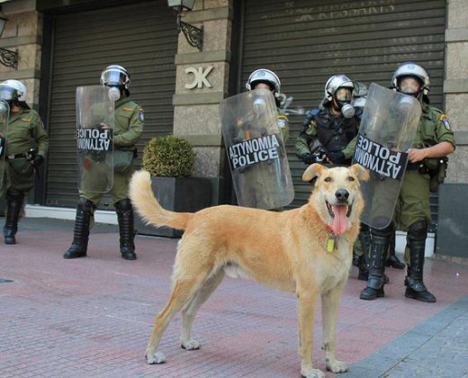 Nα ΓΙΑΤΙ πέθανε ο ΛΟΥΚΑΝΙΚΟΣ...Δείτε το βίντεο που τον έκανε φίρμα παγκοσμίως! [video] - Φωτογραφία 3