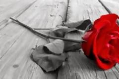 Εύβοια: Θρήνος για 48χρονο, ανηψιό γνωστής τραγουδίστριας