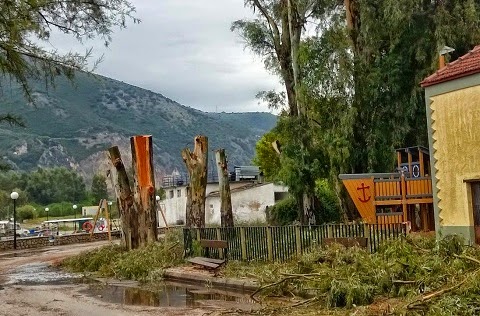 Δεντροφάγος η νέα Δημοτική Αρχή Ακτίου... [photos] - Φωτογραφία 3