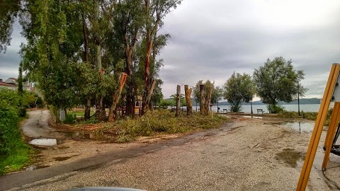 Δεντροφάγος η νέα Δημοτική Αρχή Ακτίου... [photos] - Φωτογραφία 4