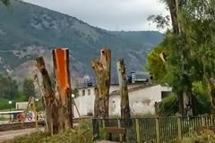 Δεντροφάγος η νέα Δημοτική Αρχή Ακτίου... [photos]