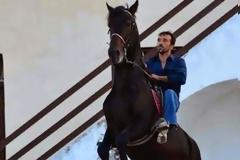Άργος: 12η Iππική Συνάντηση Διομήδεια  2014 [photos]