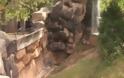 Ιαγουάροι σχεδόν κατασπάραξαν 3χρονο αγοράκι - Φρικτό ατύχημα σε ζωολογικό κήπο