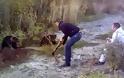 Φρικιαστικό βίντεο: Μεθυσμένος σκοτώνει με σιδερένιο σωλήνα μωρό αρκουδάκι...