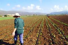 Αυτός είναι ο σκύλος που έγινε… αγρότης [photos]