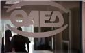 ΟΑΕΔ: Έρχεται η προκήρυξη για 15.000 προσλήψεις με την Κοινωφελή Εργασία