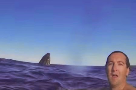 Koλυμπώντας με… μπλε φάλαινες! ένα εκπληκτικό βίντεο [video] - Φωτογραφία 1