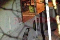Θρίλερ στην Καλαμάτα - Ηλικιωμένη βρέθηκε θαμμένη στο σπίτι της κόρης της