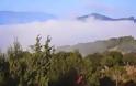 “Πνίγηκε” στην ομίχλη η ορεινή Σταυρούπολη Ξάνθης - Άναψαν σόμπες και τζάκια! [video]