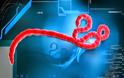 Τι συμβαίνει στον οργανισμό όταν μολυνθεί με τον ιό Έμπολα