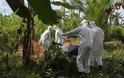 Προειδοποίηση ΣΟΚ από το ΠΟΥ: Φόβοι για 10.000 νέα κρούσματα του ιού Έμπολα την εβδομάδα - Φωτογραφία 3