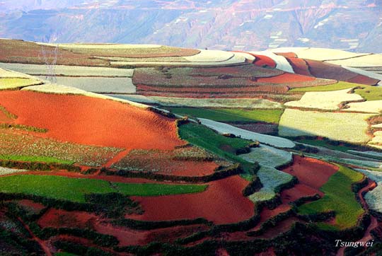 Πανδαισία χρωμάτων στους αγρούς της Κίνας! - Φωτογραφία 13
