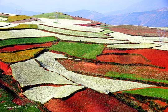 Πανδαισία χρωμάτων στους αγρούς της Κίνας! - Φωτογραφία 15