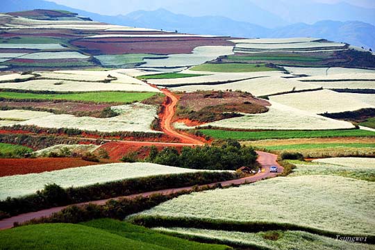 Πανδαισία χρωμάτων στους αγρούς της Κίνας! - Φωτογραφία 17