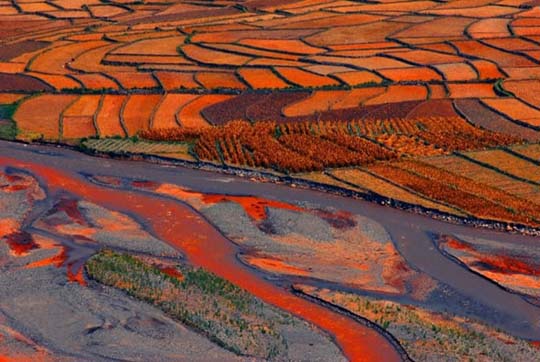 Πανδαισία χρωμάτων στους αγρούς της Κίνας! - Φωτογραφία 3