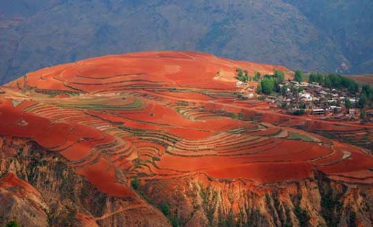 Πανδαισία χρωμάτων στους αγρούς της Κίνας! - Φωτογραφία 5