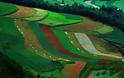 Πανδαισία χρωμάτων στους αγρούς της Κίνας! - Φωτογραφία 11
