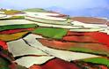 Πανδαισία χρωμάτων στους αγρούς της Κίνας! - Φωτογραφία 15