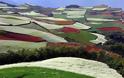 Πανδαισία χρωμάτων στους αγρούς της Κίνας! - Φωτογραφία 8