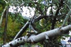 Εικόνες ντροπής…στα Γρεβενά [photos]