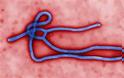Όλα όσα πρέπει να γνωρίζετε για τον ιό Έμπολα. Χρηστικές πληροφορίες από το ΚΕΕΛΠΝΟ