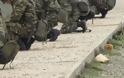 Μετάθεση σε ΕΛΔΥΚ: Η στρατευμένη νεολαία μετατρέπεται σε μισθοφορικό ακούνητο-αγέλαστο Στρατιωτάκι