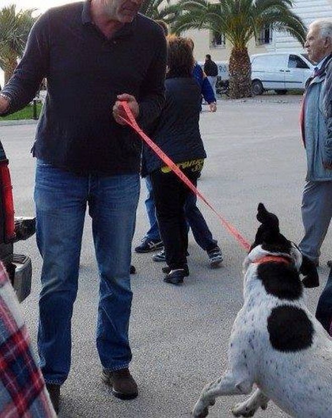 Πιάστηκαν στα χέρια για τα αδέσποτα στο Βόλο...Καταγγέλλουν τον Δήμαρχο για παράνομο εγκλεισμό σκυλιών! [photos] - Φωτογραφία 4