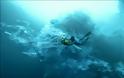 Ανεπανάλληπτο βίντεο: Δείτε πως είναι να κολυμπάς δίπλα από ένα παγόβουνο