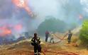 Από φωτιά σε φωτιά έτρεχαν σήμερα οι πυροσβέστες στη Φθιώτιδα - Πέταξαν αεροσκάφη