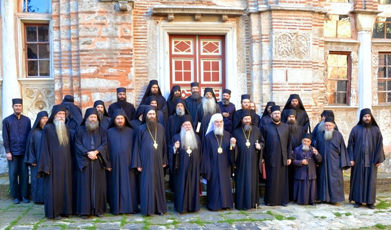 5446 - Φωτογραφίες από την επίσκεψη του Πατριάρχη Σερβίας κ. Ειρηναίου στη Λαύρα των Σέρβων, την Ιερά Μονή Χιλιανδαρίου - Φωτογραφία 24