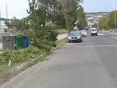 Θυελλώδεις άνεμοι στη Στερεά, έπεσαν δέντρα στη Λαμία [video] - Φωτογραφία 1