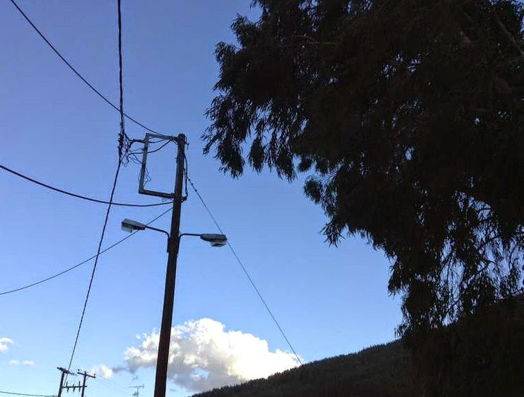 Λιβαδειά: Ο αέρας έριξε κομμάτι δέντρου πάνω σε καλώδια κολώνας της ΔΕΗ [video] - Φωτογραφία 2