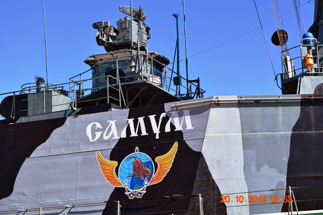 Ο Ρωσικός «Φονιάς Αεροπλανοφόρων» 1239 Samum στις Εκδηλώσεις της Ναυμαχίας του Ναυαρίνου - Φωτογραφία 16